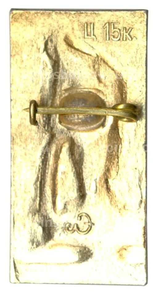 Значок Петродворец