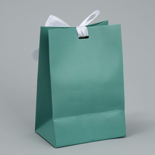 Пакет подарочный с лентой Тиффани, 13 19 9 см - Дарите счастье фото 4