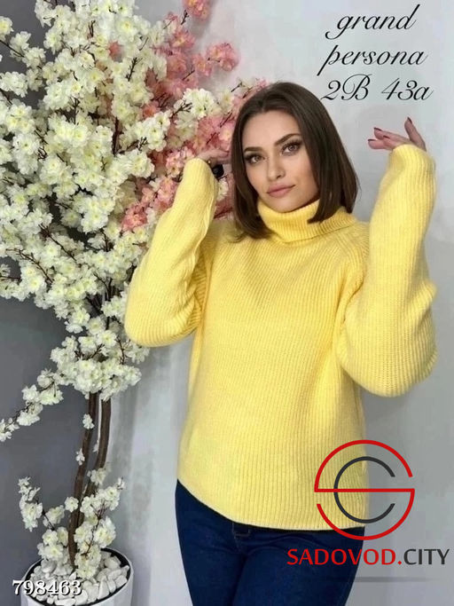 Водолазки женские с высоким горлом - Bruno фото 2