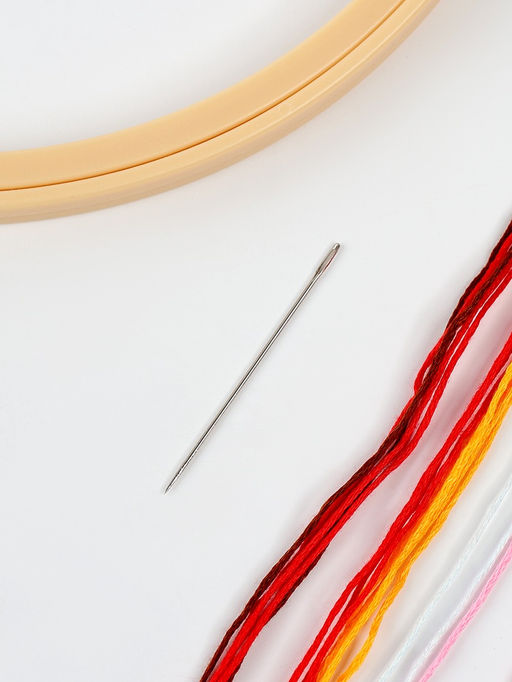 Вышивка гладью на пяльцах Полевые цветы, 20?20 см