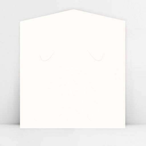 Цена за 5 шт. Конверт для денег фигурный «Котик», 17.5 х 8 см