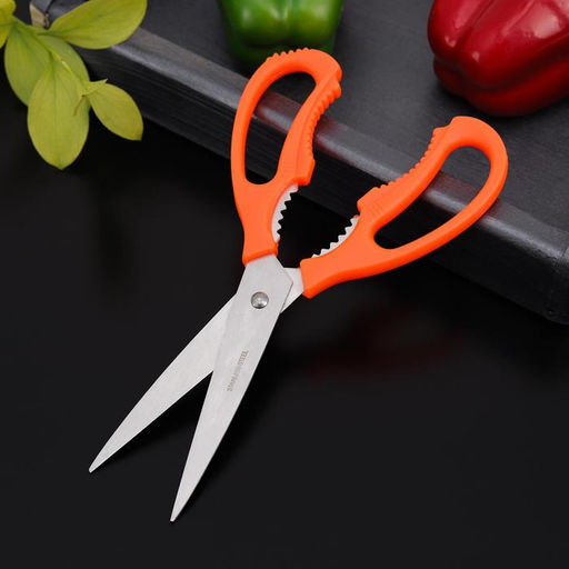 Ножницы кухонные Доляна «Саймон», 23 см, зелёные