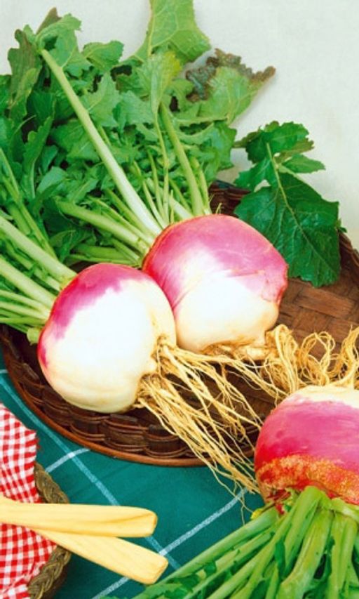 Брюква РУССКАЯ Сладкая, массой до 500 г, великолепно хранится!