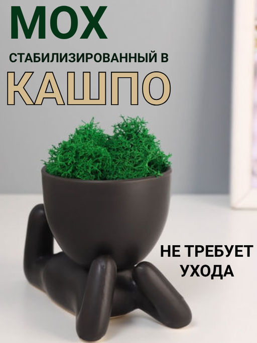 Стабилизированный мох в кашпо из керамики Мистер Грин на лайте, 8.5712 см, чёрный