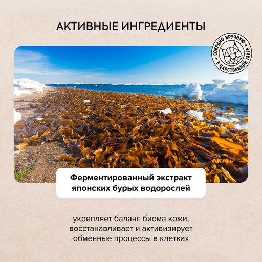 Гель для Душа Био. Ягодное Омоложение, 400мл / Doctor Taiga / Natura Siberica  фото 3