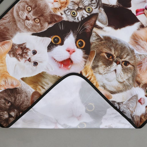 Фартук кухонный Коты, полноцветный - Beauty fox фото 5