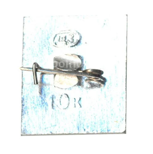 Значок Шушенское