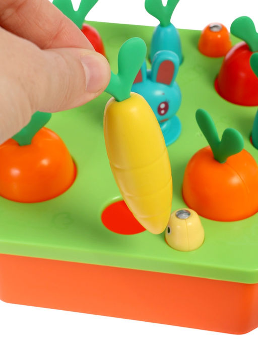 Развивающий сортер IQ-ZABIAKA «Яркий огород»