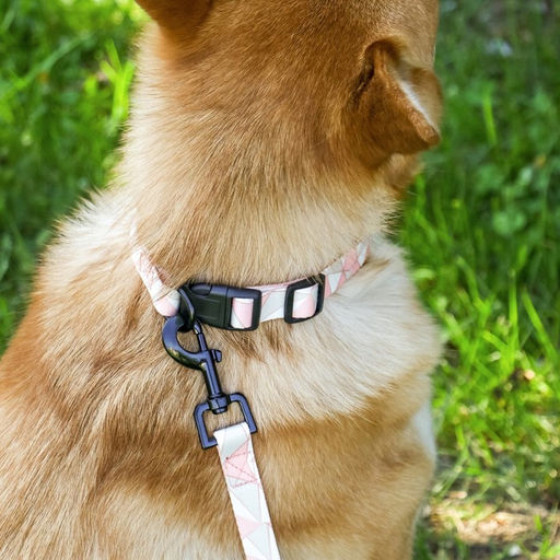 Набор Ромбы, застёжка - фастекс, поводок 2 м и ошейник 28-46 см - Пушистое счастье фото 13