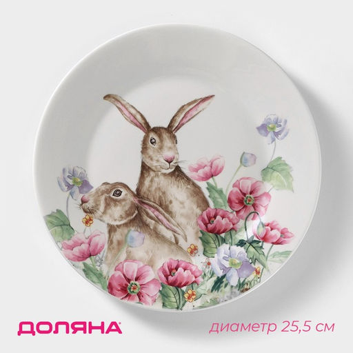 Тарелка фарфоровая обеденная Доляна Зайка, d=25,5 см, цвет белый  фото 10