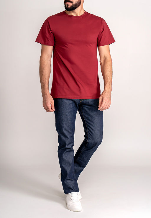 Футболка мужская короткий рукав GREG G145-RD-1061_R (бордовый)  фото 3
