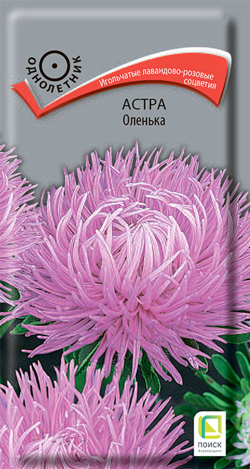 Астра (однолетняя) Оленька (ЦВ) (1) 0,3гр. - Поиск фото 2