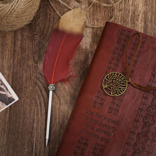 Родословная книга «Наш род», с пером, 56 листов, бордо, 35×25 см