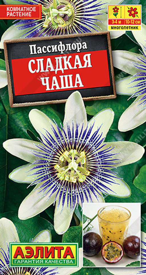 1653A Пассифлора Сладкая чаша 4шт