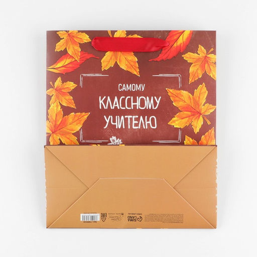 Цена за 2 шт. Пакет подарочный ламинированный, упаковка, «Учитель года», ML 27 х 23 х 11.5 см