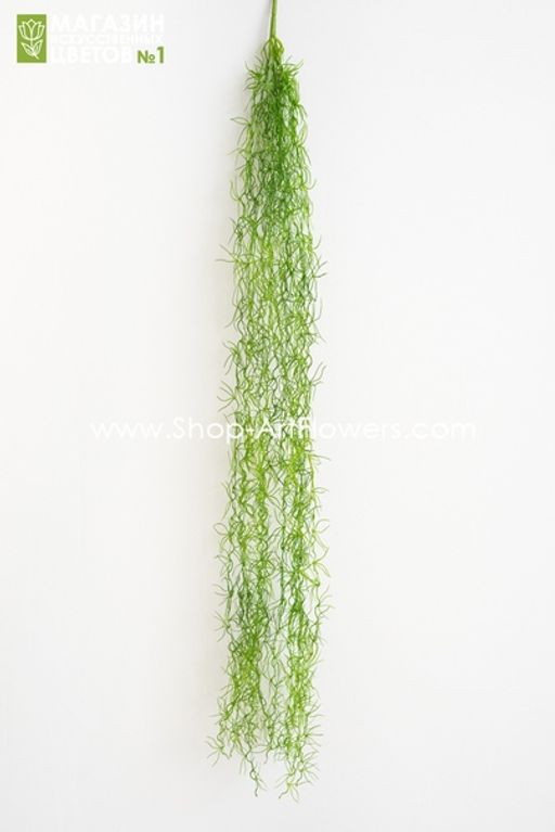 192 Тилландсия - Без тм фото 4