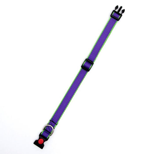 Ошейник капроновый, фастекс с замком, 50 х 2 см, ОШ до 50 см, фиолетовый с зелёным - Пижон фото 3