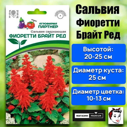 Сальвия сверкающая Фиоретти Брайт Ред - Партнер фото 5