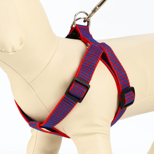 Комплект амуниции рельефный, поводок 120 х 2 см, ОГ 44-50 см, красно-синий - Пижон фото 2