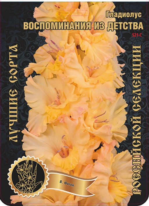 Гладиолус Воспоминания из Детства 521,Фотин 1 р-р 7шт (Ф)
