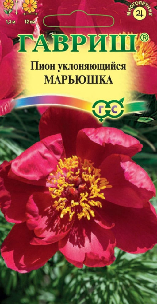 Пион уклоняющийся Марьюшка 3шт. (Гавриш)