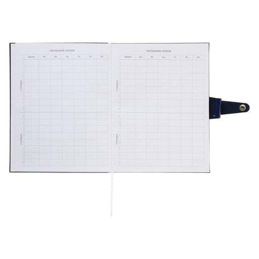 Дневник школьный для 1-11 классов Favorite, мягкая обложка, на кнопке, искусственная кожа, тиснение фольгой, хлястик, ляссе, 48 листов