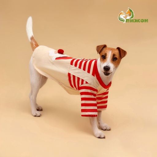 Футболка для животных Santa, S (ДС 25, ОГ 35 см) - Simaland фото 2