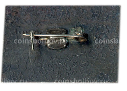 Значок Рубеж Славы