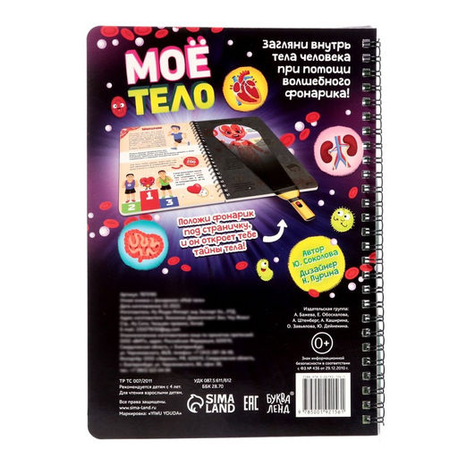 Умная книжка с фонариком Моё тело. Свети и изучай, 30 стр. - Буква-ленд фото 6
