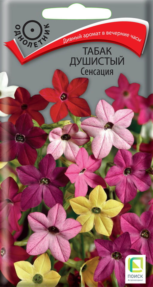 Табак Душистый Сенсация (ЦВ) (1) 0,25гр. - Поиск фото 3