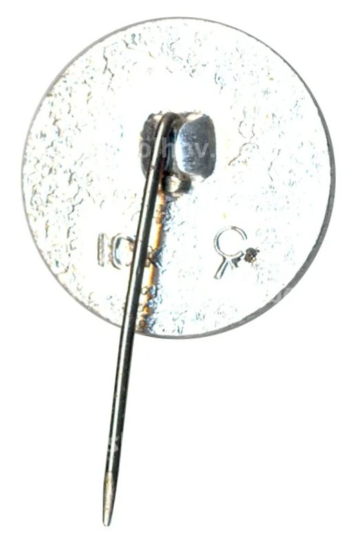 Значок Павловск