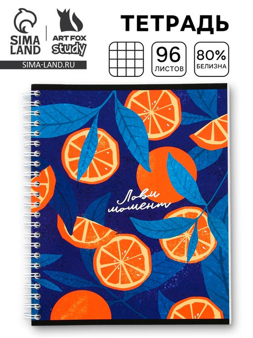 Цена за 3 шт. Тетрадь в клетку, 96 л., А5, на спирали, блок №2 «Лови момент»