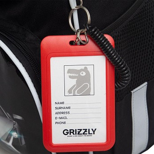 RAm-585-1 Рюкзак школьный с мешком - Grizzly фото 13