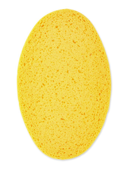 Губка ABSORB+ ECO 2шт 11х19см