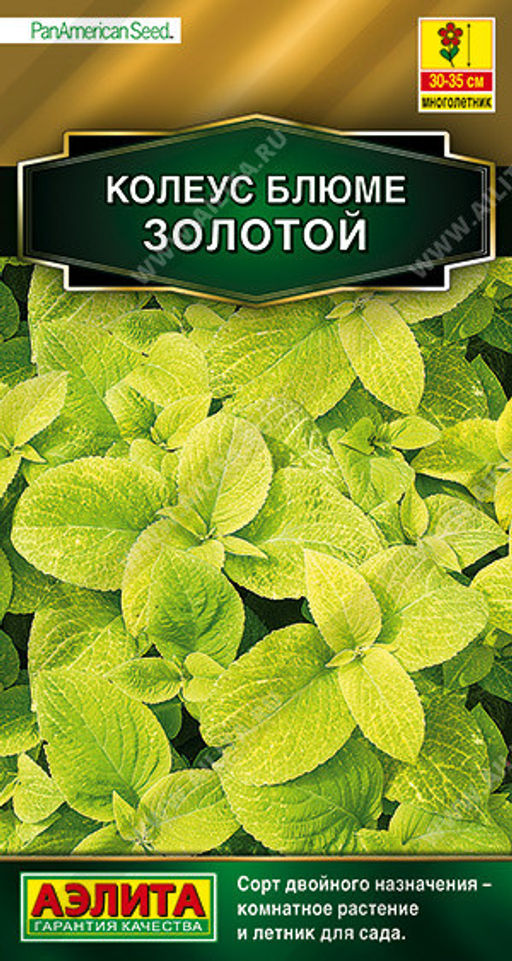 1505A Колеус блюме Золотой 5шт