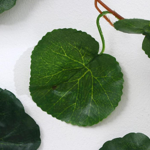 Цена за 5 шт. Лиана искусственная «Лист волнистый», 250 см