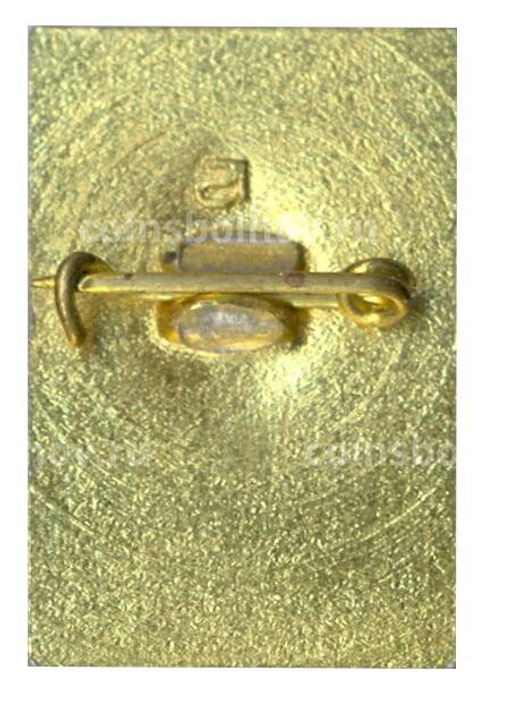 Значок Петродворец