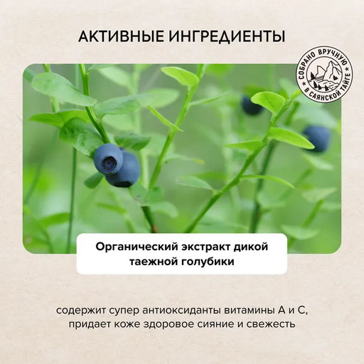 Маска-детокс для лица Био Глубокое очищение пор, 100 мл / Doctor Taiga / Natura Siberica  фото 3