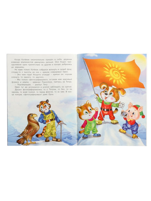 Цена за 3 шт. Книга "Покорители вершин", 16 стр, Гурина И. В.