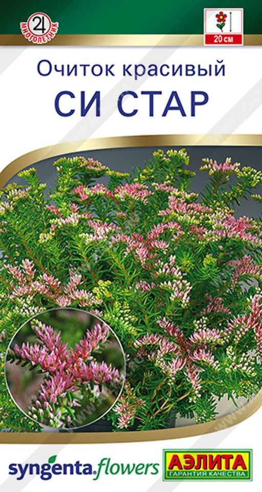 Очиток красивый Си стар