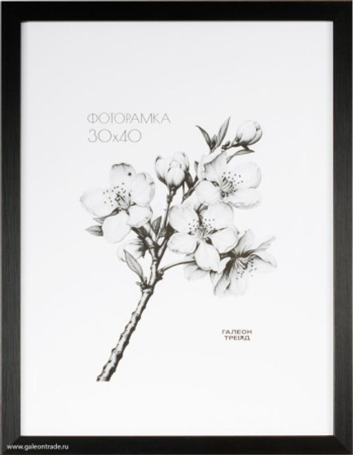 Фоторамка 30x40 / ZR208B-22 / ф - Галеонтрейд фото 2