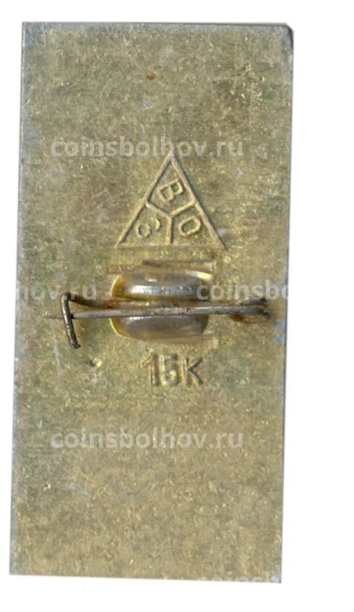 Значок Владимир