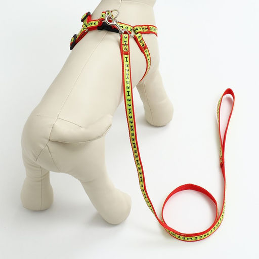 Комплект Косточки и лапки светоотражающий, поводок 120 х 1,5 см, ОГ 36-52 см, красный - Пижон фото 10