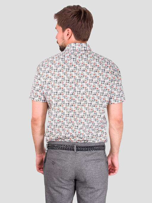 Сорочка мужская короткий рукав GREG 455/101/365/Z/1_GB  фото 6