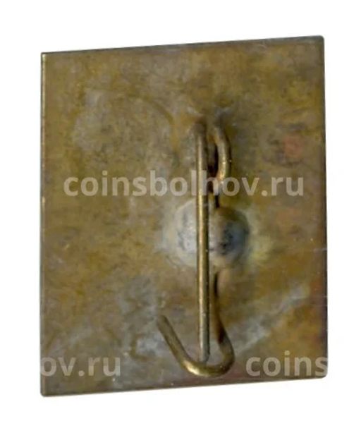 Значок Невицкое