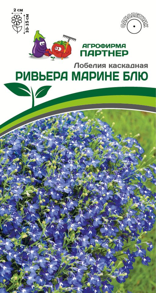 Лобелия каскадная Ривьера Марине Блю