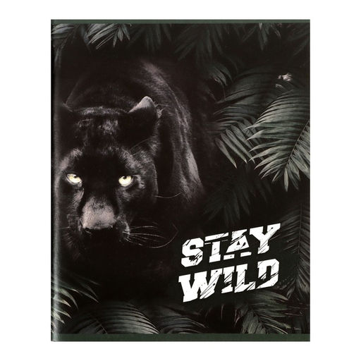 Набор тетрадей 96 листов в клетку Calligrata «Хищники», обложка мелованный картон, блок офсет, 4 шт.