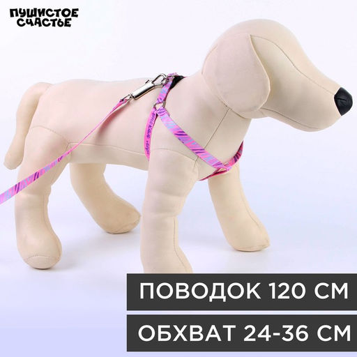 Комплект Маленькая леди, шлейка 24-36 см, поводок 120х1 см