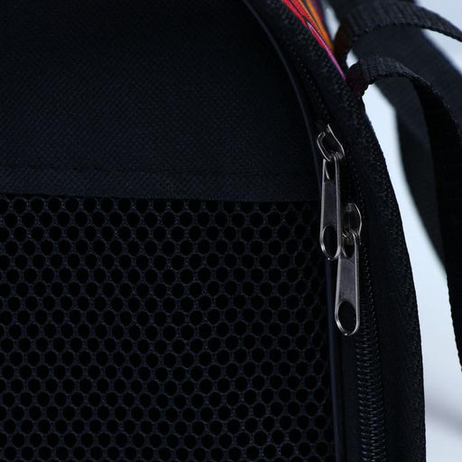 Сумка - переноска для животных, 31 х 20,5 х 22, микс цветов - Пижон фото 4