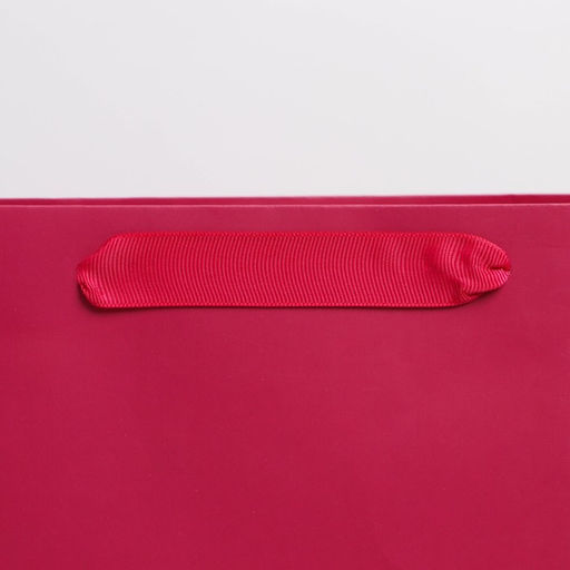 Пакет подарочный ламинированный, упаковка, «Фуксия», ML 23 х 27 х 11.5 см